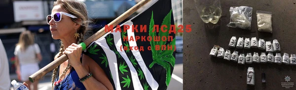 шишки Балабаново